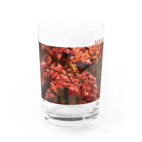 日本の紅葉 Water Glass