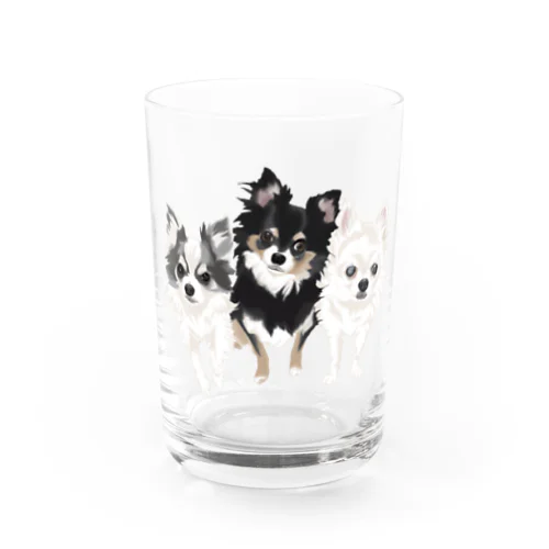 チョコ、チップ、ソラ Water Glass