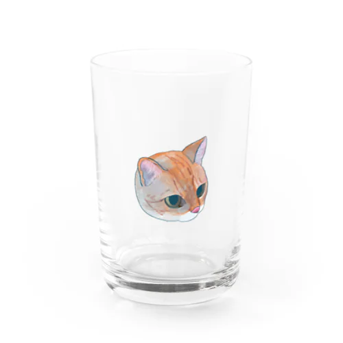 上から見た猫 Water Glass