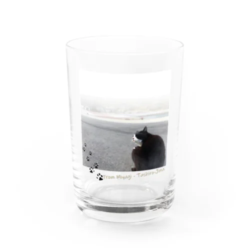 田代島にゃんシリーズ　平和な日常 Water Glass