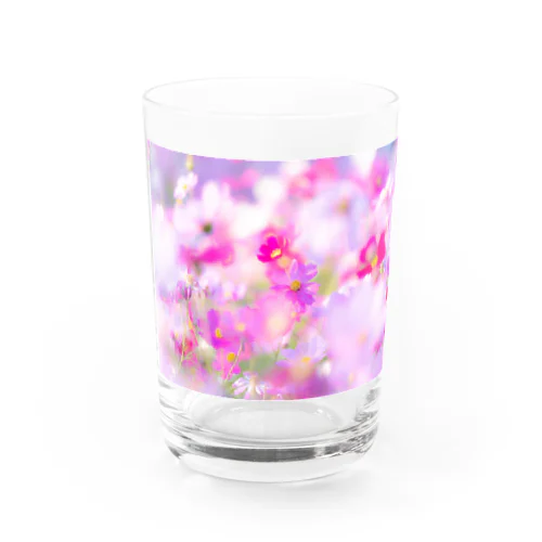 ピンクノコスモス Water Glass