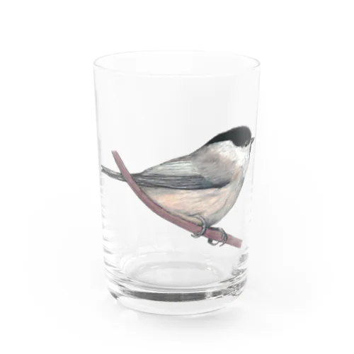 [森図鑑] コガラ Water Glass