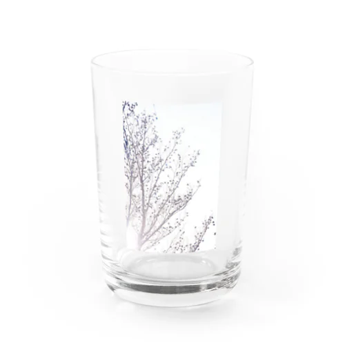 Hakana Water Glass