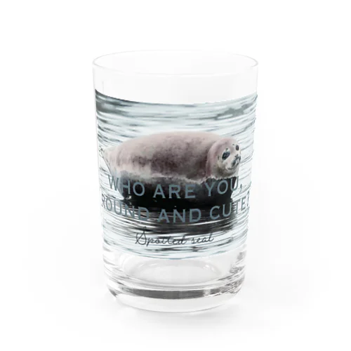 丸い ゴマフアザラシ Round spotted seal Water Glass