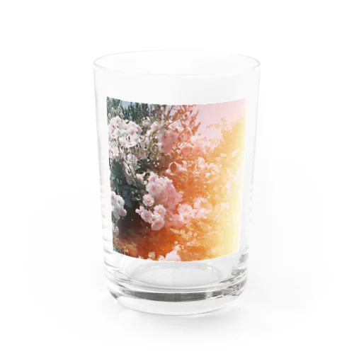 レトロな薔薇2（シカク） Water Glass