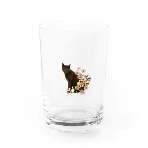 デルフィーノくん Water Glass