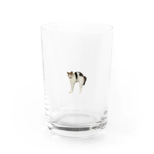 ねこっぷ Water Glass