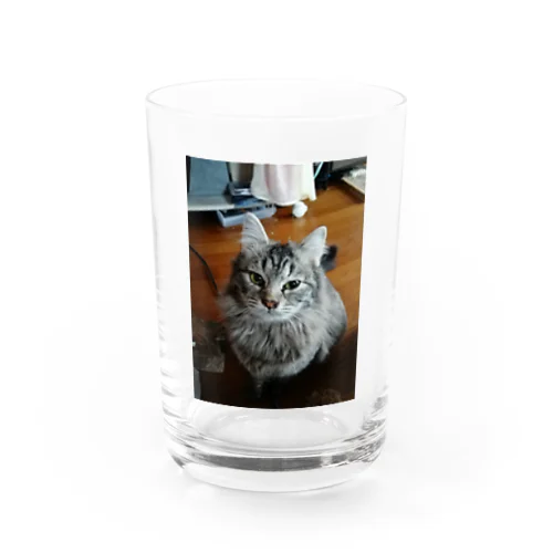 あむくん Water Glass