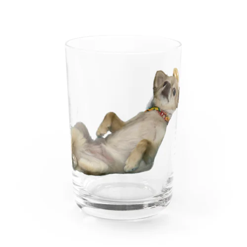 チワワ のさくら Water Glass