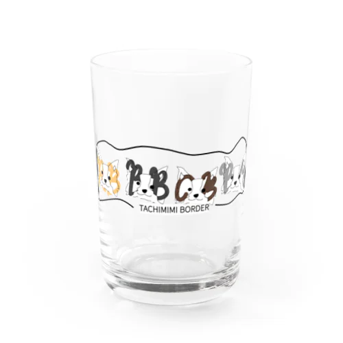 たち耳ボーダーコリー Water Glass