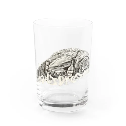 dreaming owl Water Glass