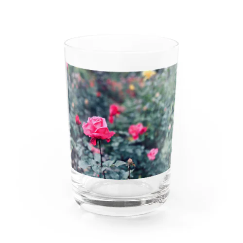 薔薇艶 Water Glass