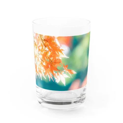 ミドリトコウヨウ Water Glass