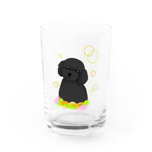 黒トイプードル　癒し犬 Water Glass