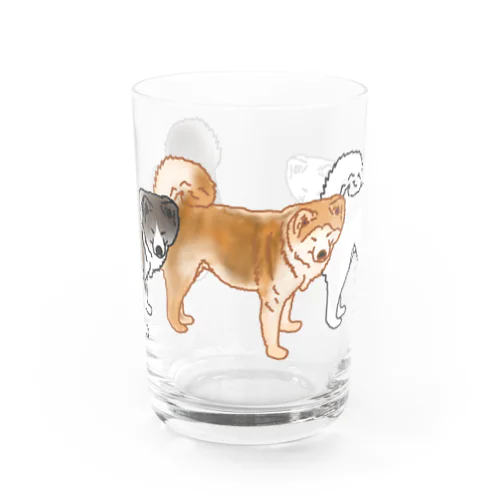 秋田犬ズ Water Glass