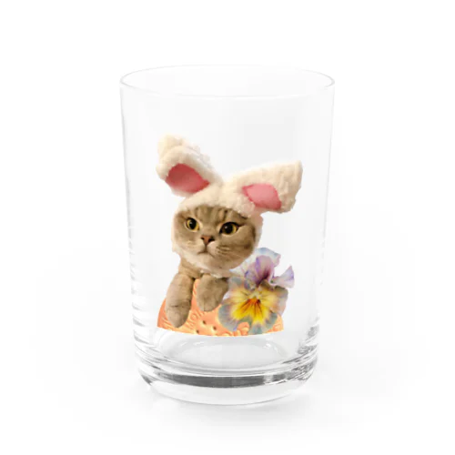 うさねこ Water Glass