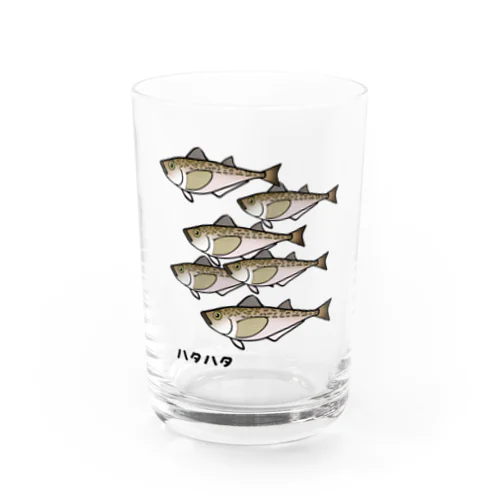 【魚シリーズ】ハタハタ♪群れ♪221208 Water Glass