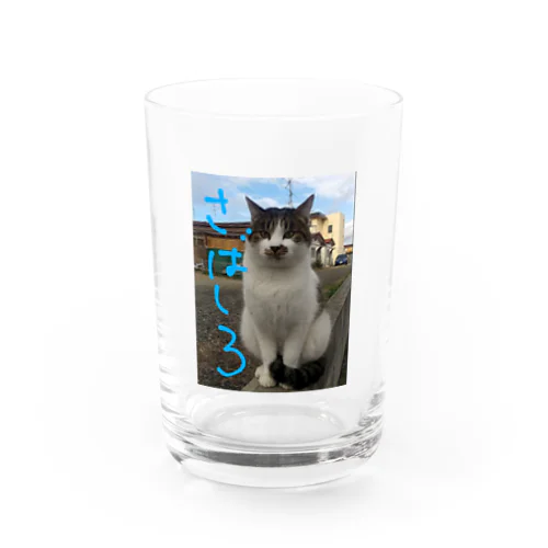 ミケ猫一族  さばしろ Water Glass