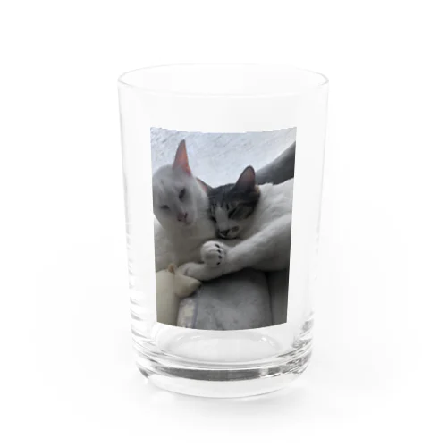 いおすい Water Glass