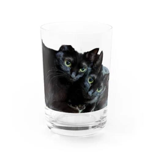 しましっぽ　グラス Water Glass