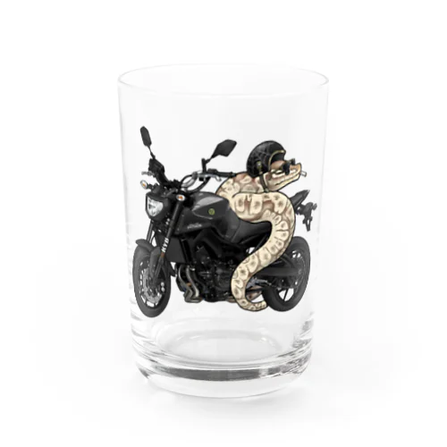 バイクONボールパイソン Water Glass