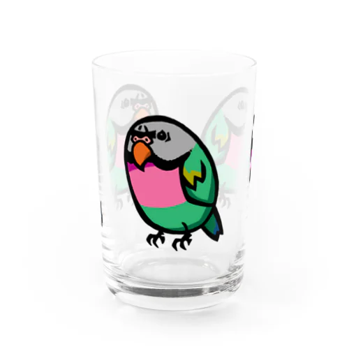 ダルマインコのカゲトラさん（ギョリギョリ・トリオ） Water Glass