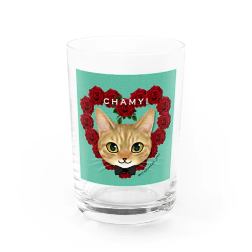 chamyi Water Glass