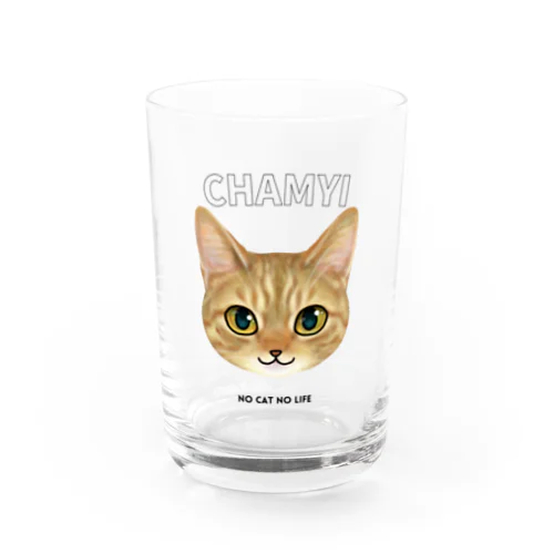 chamyi Water Glass