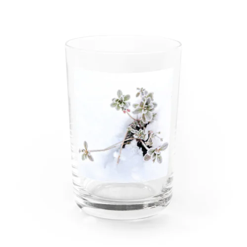 雪の中で Water Glass