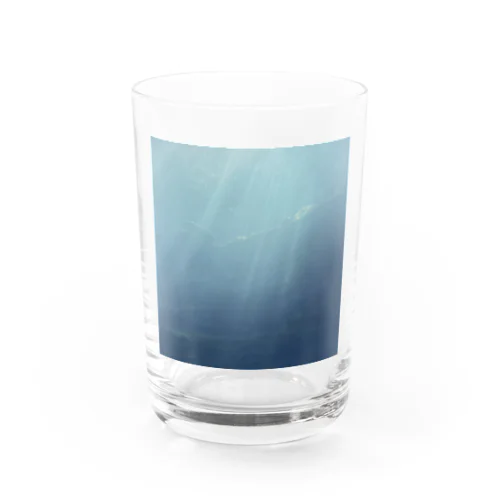 salvation Water Glass