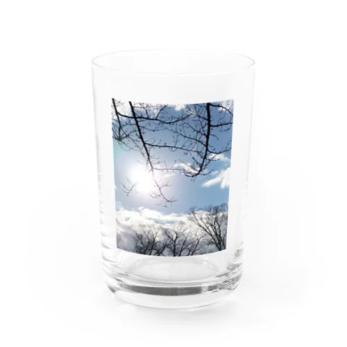 Largo Water Glass