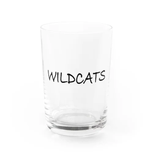 WILDCATS グッズ　3.0 グラス