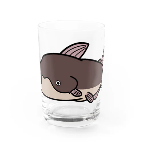 ギネスに載ってしまったメコンオオナマズさん Water Glass