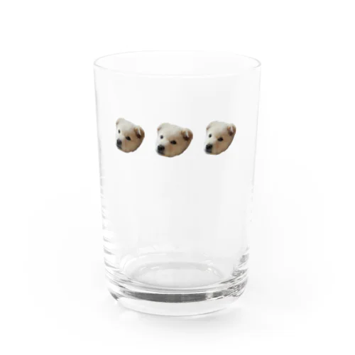 いぬ 3連 Water Glass