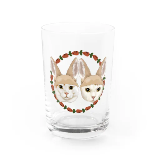 rin tama usagi Water Glass