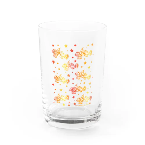 マンダリンフィッシュ Water Glass