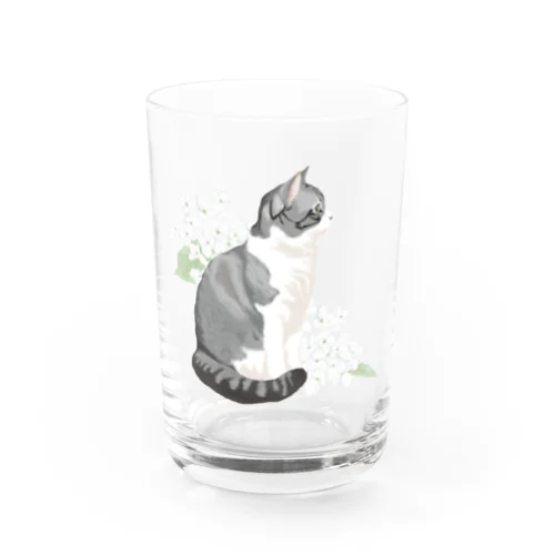 スコ Water Glass