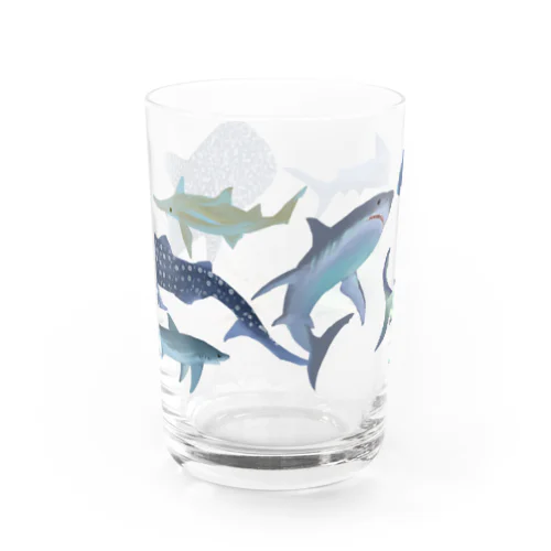 サメいっぱい Water Glass