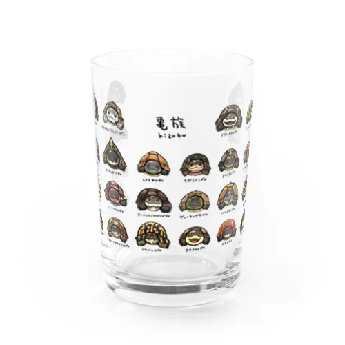 亀族グラス グラス