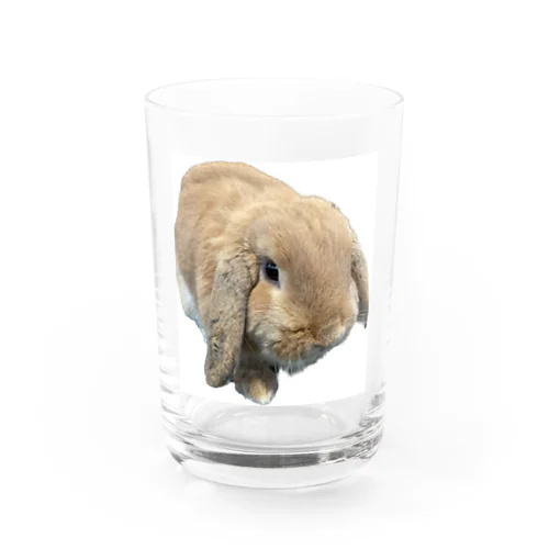 ウサギグラス Water Glass