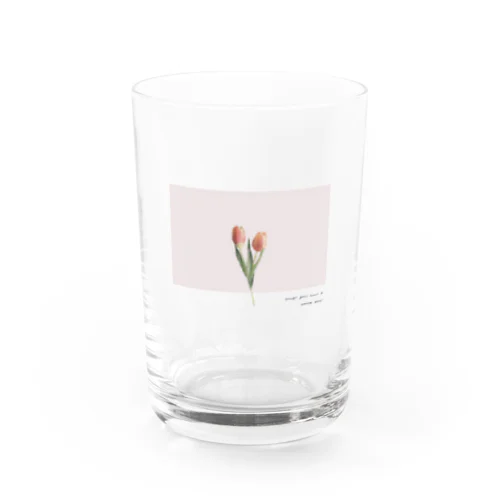 two peach tulip . Water Glass