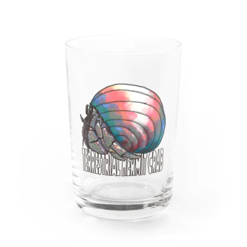 Terrestrial Hermit Crab (trans) Water Glass