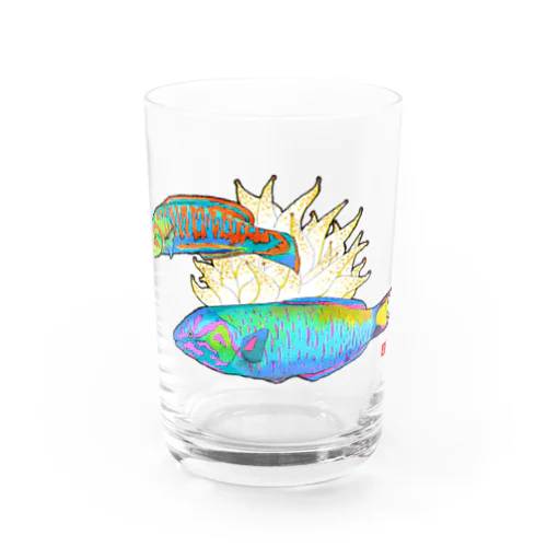 ニシキベラとオトメベラ Water Glass