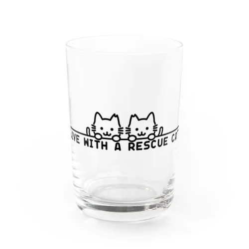 保護猫と共に暮らす Water Glass