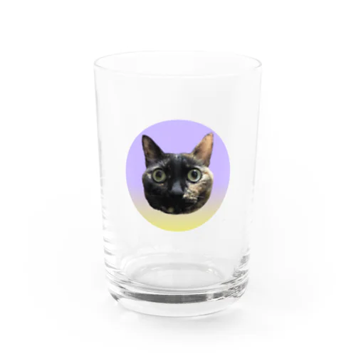 きょとんとした猫 Water Glass