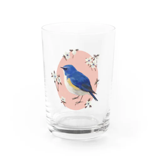 ルリビタキ Water Glass