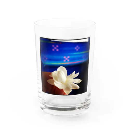 さんぴん花の旅 Water Glass