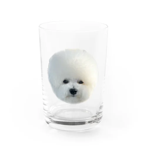 お疲れのセトくん Water Glass