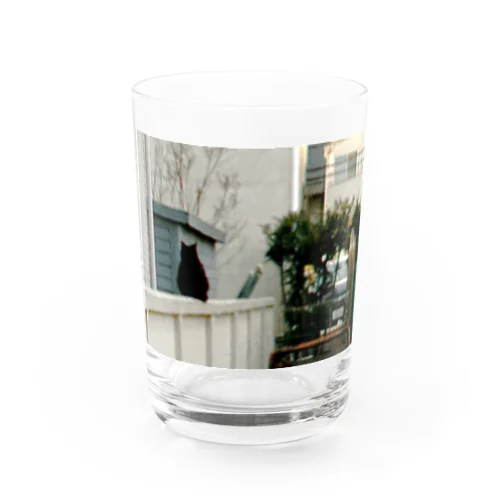 黒猫と街角 Water Glass