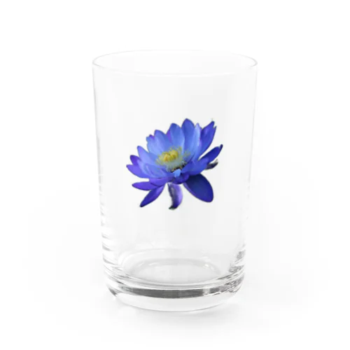 青色と白色の蓮 グラス